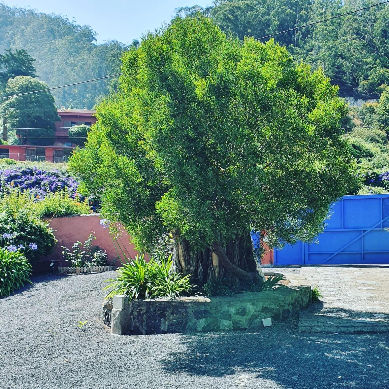 Casa El Porte Tegueste Luaran gambar